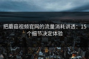 把蘑菇视频官网的流量消耗讲透：15个细节决定体验